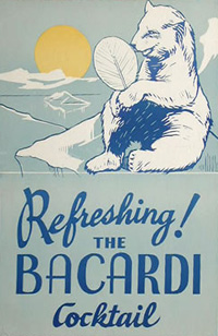 Bacardi Cocktail poster with Polar Bear, fanning itself.