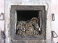 Thumbnail for version as of 20:30, 28 January 2006